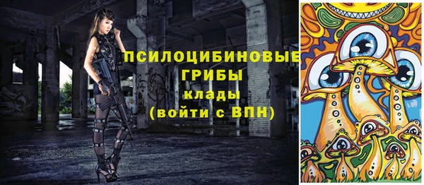 соль ск Абдулино