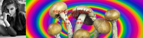 соль ск Абдулино