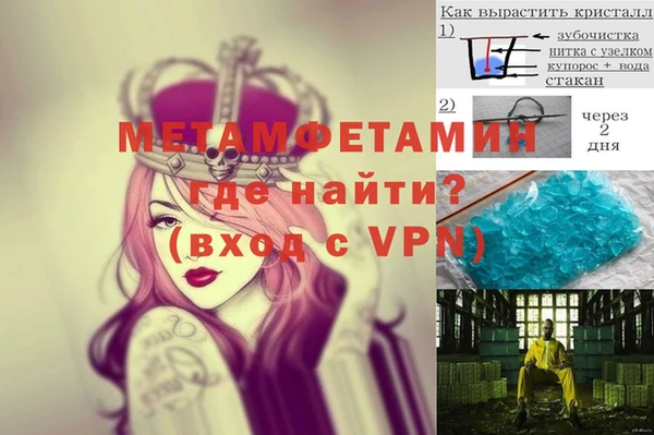 трава Абаза