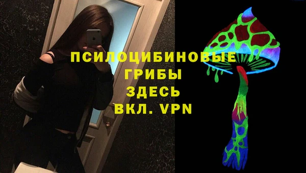 МДПВ Абинск