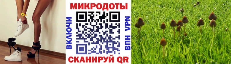 Псилоцибиновые грибы Psilocybe  Абдулино 